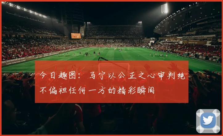 今日趣图：马宁以公正之心审判绝不偏袒任何一方的精彩瞬间